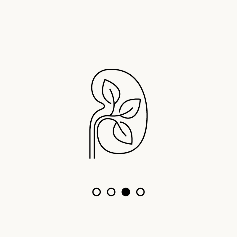 Icon showing a document, a fingerprint, and a leaf symbolizing sustainability and efficiency capabilities.